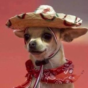 Meet your Posher, Joel